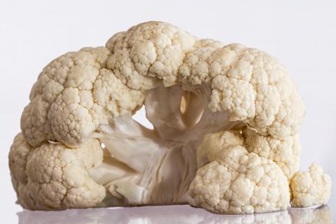 Cauliflower. The Dutch for "cauliflower" is "bloemkool".