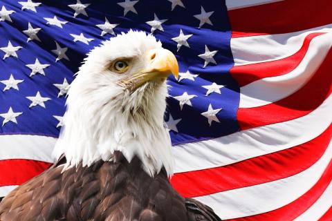 America. The Bengali for "America" is "আমেরিকা". America. The Bengali for "America" is "আমেরিকা".