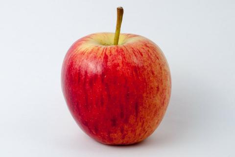 Apple. The Bengali for "apple" is "আপেল".