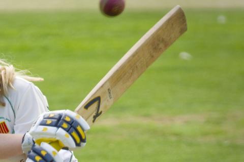 Cricket bat. The Bengali for "cricket bat" is "ব্যাট". Cricket bat. The Bengali for "cricket bat" is "ব্যাট".