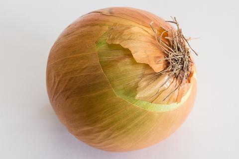 Onion. The Bengali for "onion" is "পেঁয়াজ".