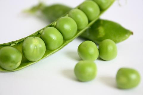 Pea. The Bengali for "pea" is "মটর".