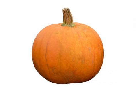 Pumpkin. The Bengali for "pumpkin" is "বড় কুমড়া বা কুমড়া গাছ".