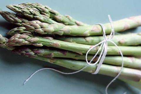 Asparagus In Bengali Lingopolo