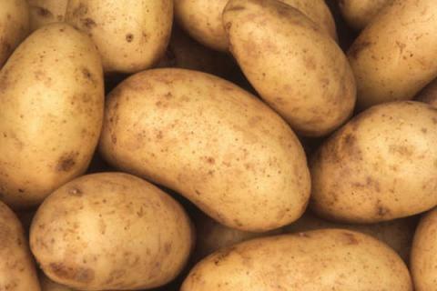Potato. The Bengali for "potato" is "আলু".