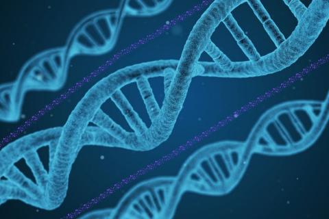 Biology. The Bengali for "biology" is "জীববিদ্যা". Biology. The Bengali for "biology" is "জীববিদ্যা".