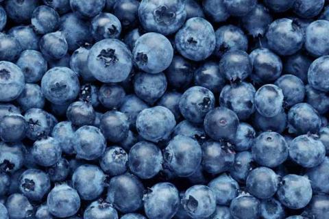 Blueberry. The Bengali for "blueberry" is "ব্লুবেরি".