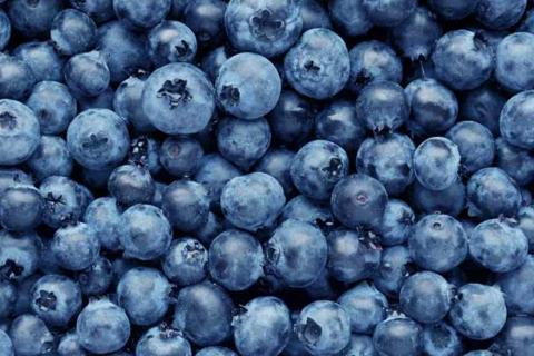Blueberry. The Bengali for "blueberry" is "ব্লুবেরি". Blueberry. The Bengali for "blueberry" is "ব্লুবেরি".