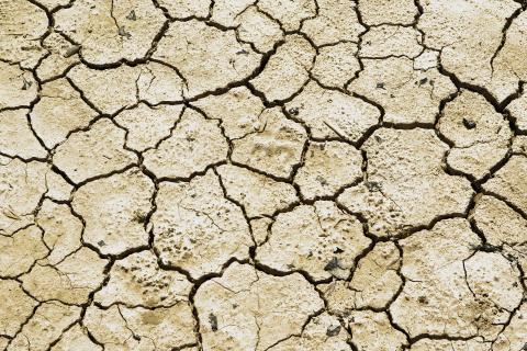 Drought. The Bengali for "drought" is "অনাবৃষ্টি, খরা,বৃষ্টির অভাব".