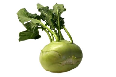 Kohlrabi. The Bengali for "kohlrabi" is "ওলকপি".