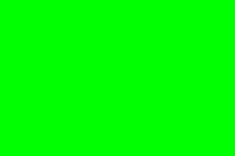 Green. The Catalan for "green" is "verd".