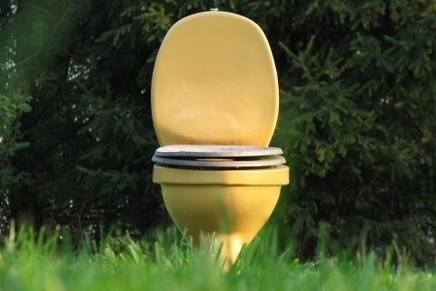 Toilet. The Croatian for "toilet" is "nužnik".