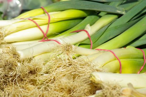 The leek. The Dutch for "the leek" is "de prei". The leek. The Dutch for "the leek" is "de prei".