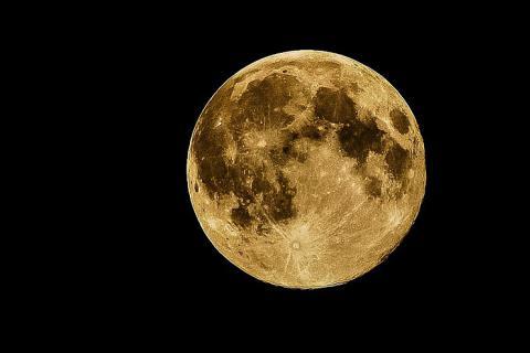 Moon. The Dutch for "moon" is "maan".