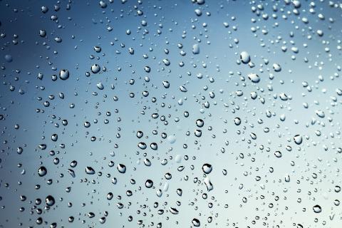 Rain. The Dutch for "rain" is "regen".