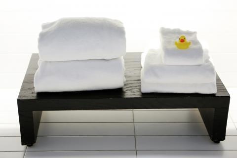 Towel. The Dutch for "towel" is "handdoek".