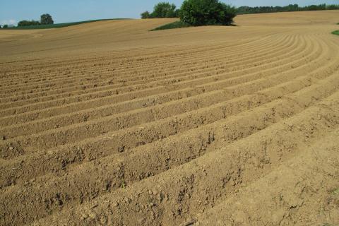 Crop field. The Dutch for "crop field" is "akker".
