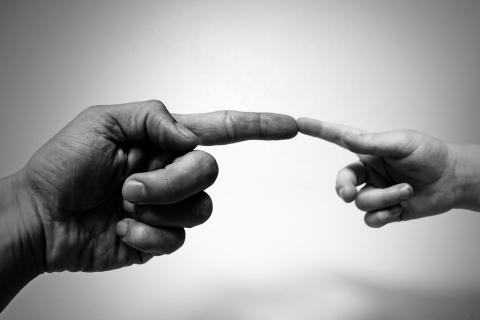 The touch. The Dutch for "the touch" is "de aanraking". The touch. The Dutch for "the touch" is "de aanraking".
