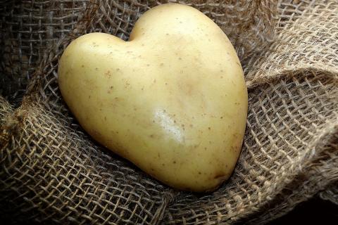 The potato. The Dutch for "the potato" is "de aardappel".