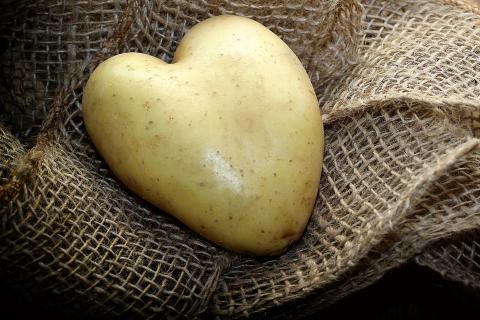 Potato. The Dutch for "potato" is "aardappel". Potato. The Dutch for "potato" is "aardappel".