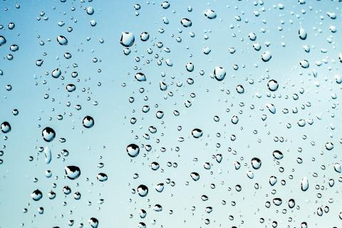 Drops. The Dutch for "drops" is "druppels". Drops. The Dutch for "drops" is "druppels".
