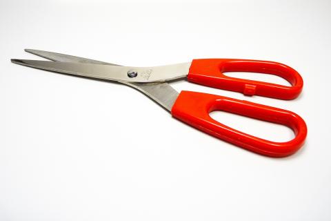 Scissors. The Dutch for "scissors" is "schaar".
