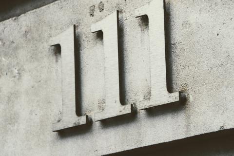 111 (one hundred and eleven). The Dutch for "111 (one hundred and eleven)" is "honderdelf".