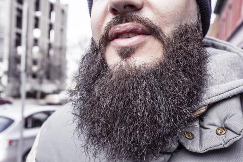 Beard. The Dutch for "beard" is "baard".