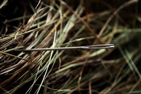 To look for a needle in a haystack. The Dutch for "to look for a needle in a haystack" is "een speld in de hooiberg zoeken".