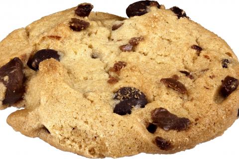 Cookie. The Dutch for "cookie" is "koekje".
