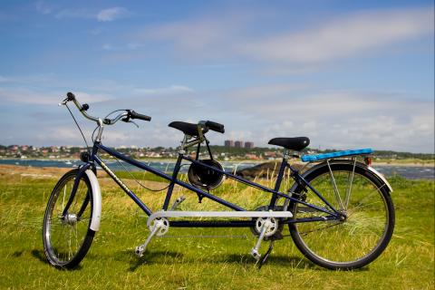 Tandem. The Dutch for "tandem" is "tandem". Tandem. The Dutch for "tandem" is "tandem".