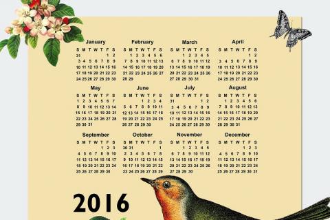 Calendar. The Dutch for "calendar" is "kalender".