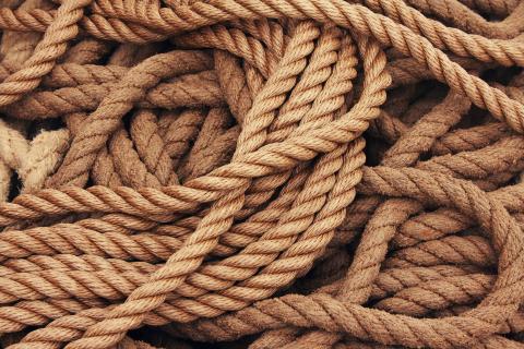 The rope. The Dutch for "the rope" is "het touw".