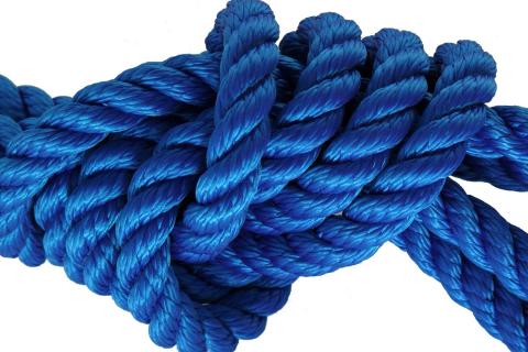 Knot. The Dutch for "knot" is "knoop". Knot. The Dutch for "knot" is "knoop".