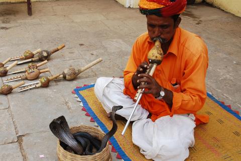 Snake charmer. The Dutch for "snake charmer" is "slangenbezweerder".