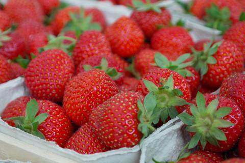 Strawberries. The Dutch for "strawberries" is "aardbeien".