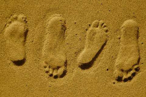 Footsteps. The Dutch for "footsteps" is "voetstappen".