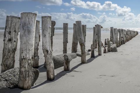 Posts. The Dutch for "posts" is "palen".