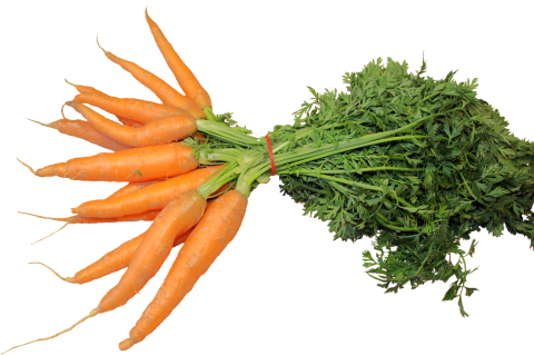 Carrots. The Dutch for "carrots" is "wortelen".