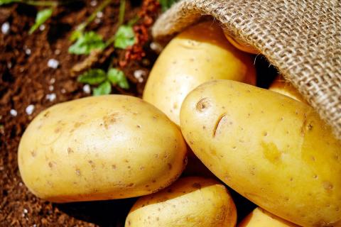 Potatoes. The Dutch for "potatoes" is "aardappels". Potatoes. The Dutch for "potatoes" is "aardappels".