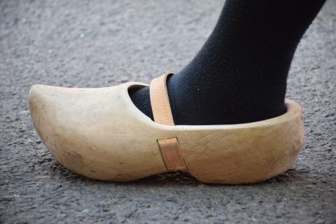 Clog; wooden shoe. The Dutch for "clog; wooden shoe" is "klomp".