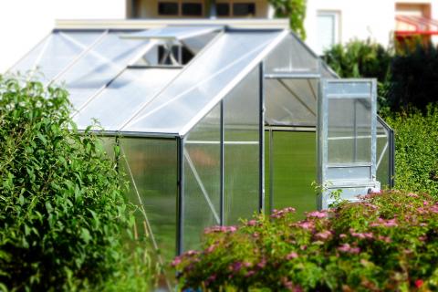 Greenhouse. The Dutch for "greenhouse" is "broeikas".