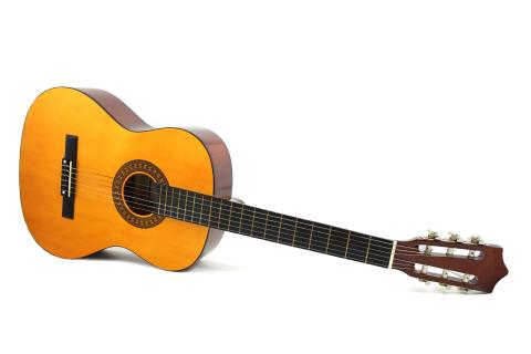 Guitar. The Dutch for "guitar" is "gitaar".