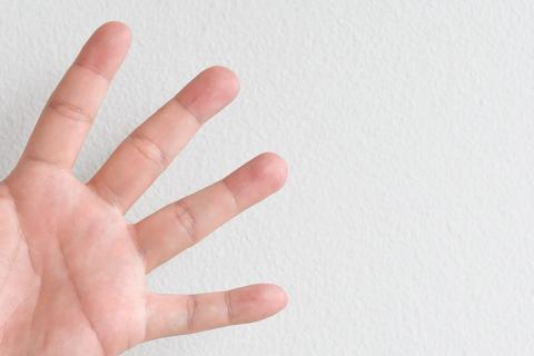 Fingers. The Dutch for "fingers" is "vingers". Fingers. The Dutch for "fingers" is "vingers".