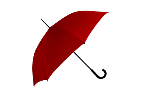 Umbrella. The Dutch for "umbrella" is "paraplu".