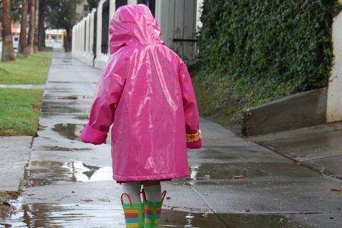 Raincoat. The Dutch for "raincoat" is "regenjas".