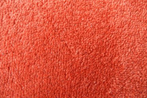 Carpet. The Dutch for "carpet" is "tapijt".