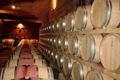 Wine cellar. The Dutch for "wine cellar" is "wijnkelder".