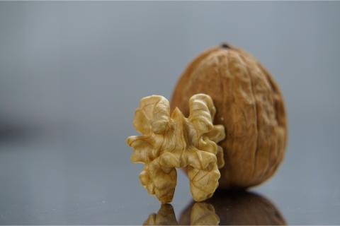 Walnuts. The Dutch for "walnuts" is "walnoten".