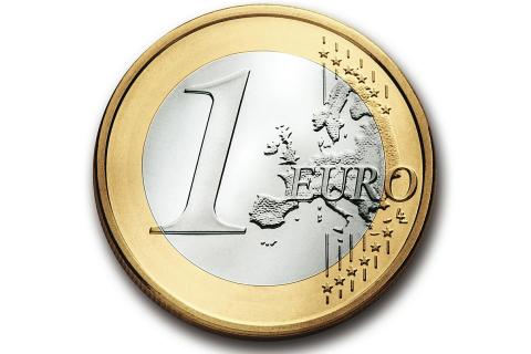 The euro. The Dutch for "the euro" is "de euro".
